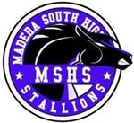 MSHS Logo MSHS Logo